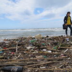 Dossier Beach Litter 2016 di Legambiente: Coccia di Morto peggior Spiaggia per rifiuti e plastiche provenienti dal Tevere. Problemi anche a Capocotta
