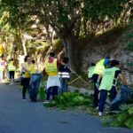Cancellazione dei contributi del verde della Regione Lazio con pl 128 sui beni comuni domani in disc